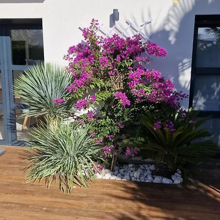 Maison Moderne 300m De La Rochelongue Agde