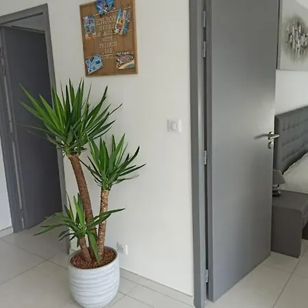 Maison Moderne 300m De La Rochelongue Villa Agde