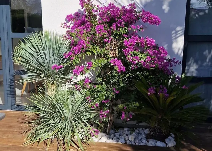 Maison Moderne 300m De La Rochelongue Agde