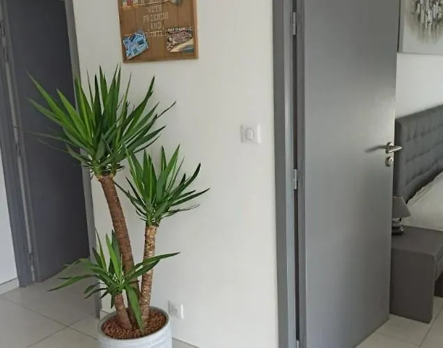 Maison Moderne 300m De La Rochelongue Villa Agde